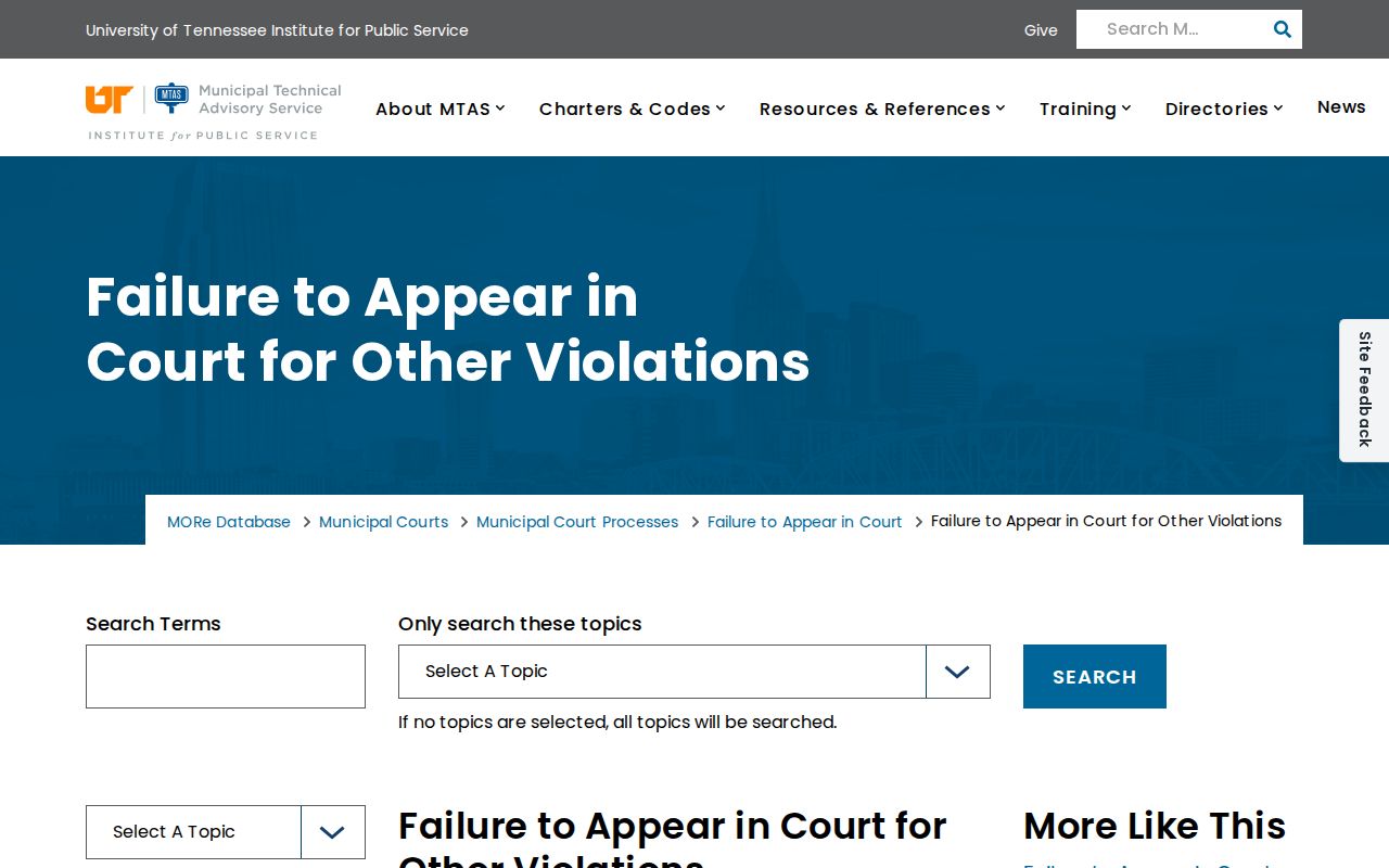 Polk County bench warrants and municipal failure-to-appear court procedure